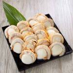 Shellfish  Series 贝壳类