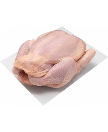 甘榜鸡 1.3kg Whole Kampung Chicken (1pc)