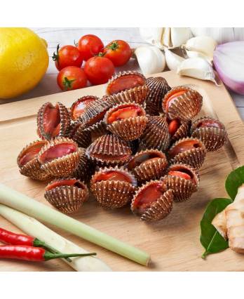 新鲜蛤粒 Fresh Whole Cockles/ Sea Hum/ Kerang (1kg)