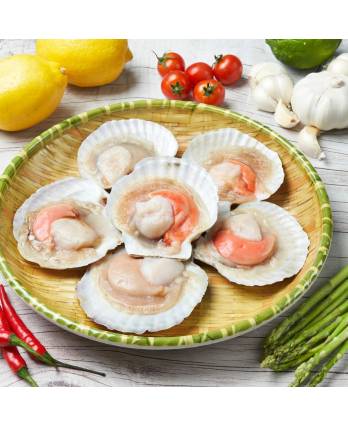 半壳扇贝 Frozen Half Shell Scallop (1kg)
