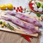 Sotong & Cuttlefish  Series  苏东/墨鱼类