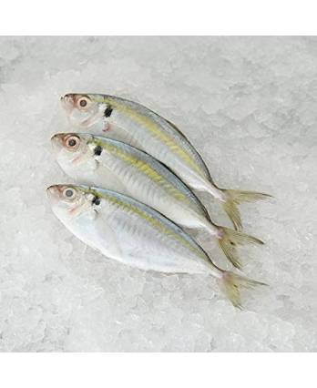 古令鱼 Kuning Fish (1kg)