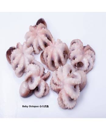 小八爪鱼 Frozen Baby Octopus (500g/pkt)