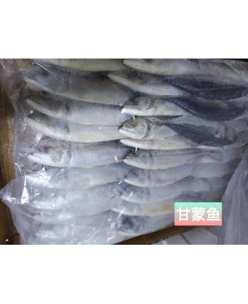 冻甘蒙鱼 6/8 Frozen Kampung Fish (1kg)
