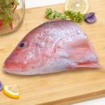Fish Series 鱼类