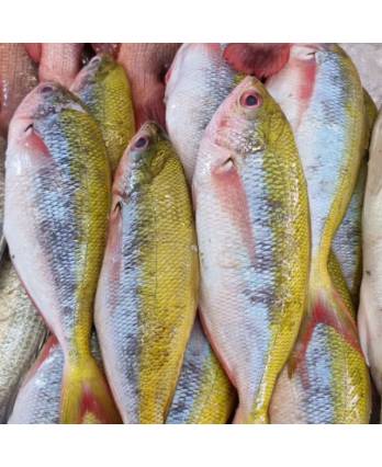 冻记鱼(净) 400/600g Kee Fish Cleaned (1kg)