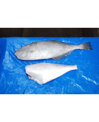 扒皮鱼(净) Frozen Leather Jacket Fish (1kg)