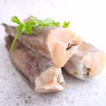 Fish Series 鱼类