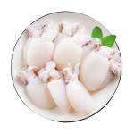 Sotong & Cuttlefish  Series  苏东/墨鱼类