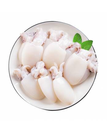 墨鱼仔/小墨斗 Baby Cuttlefish (1kg)