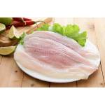 Fish Series 鱼类