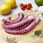 Sotong & Cuttlefish  Series  苏东/墨鱼类