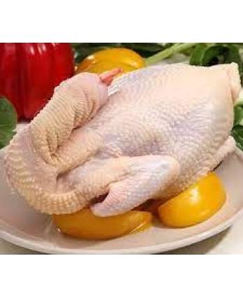 童子鸡/全鸡 Whole Chicken (1pc)