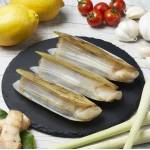 Shellfish  Series 贝壳类