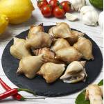 Shellfish  Series 贝壳类