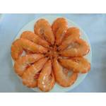 Shrimps  Series虾类