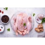 Chicken  Series 鸡肉类