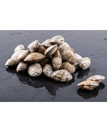越白啦啦(甲巴) 40/60 Frozen Vietnam White Lala (Kapal) (500g/pkt)