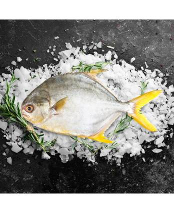 金鲳鱼 Frozen Gold Pomfret Fish (1kg)