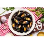 Shellfish  Series 贝壳类