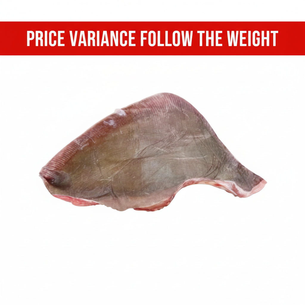 冻方鱼 FZ STINGRAY(10KG/CTN)