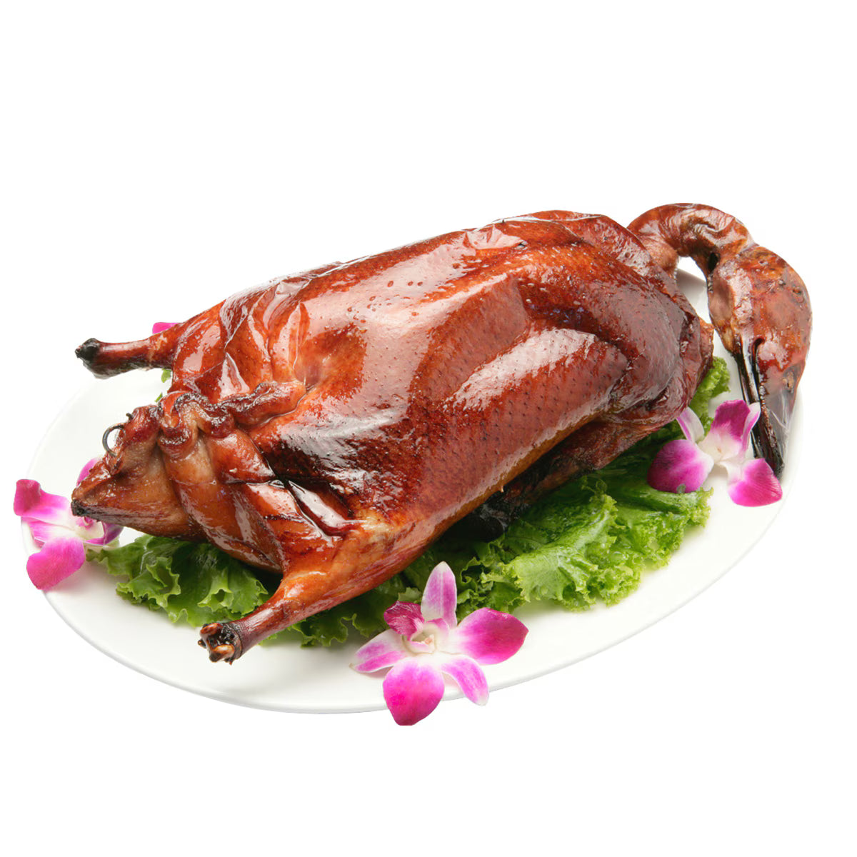 烧鸭 Roast Duck - PC