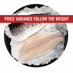 新鲜生鱼肉柳 FRESH TOMAN FILLET