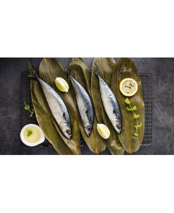 沙巴鱼 对半切 SABA FISH CUT HALF