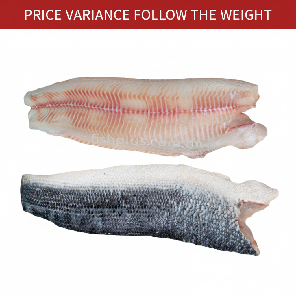 新鲜生鱼肉柳 FRESH TOMAN FILLET