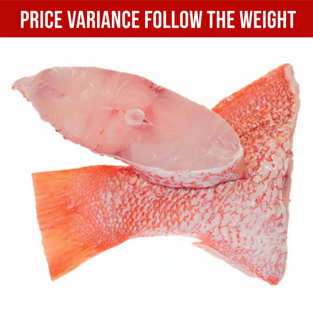 红鸡鱼尾 GROUPER TAIL