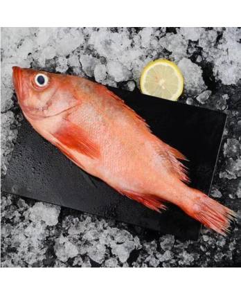 红哥里鱼身块 ANG GO LI FISH STEAK(10KG/CTN)