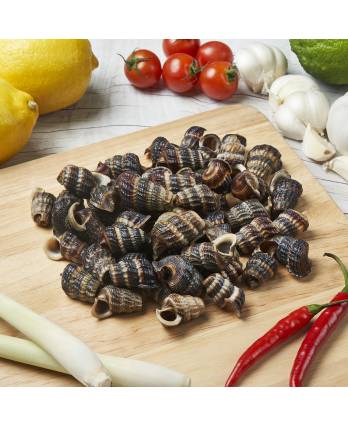 冻钉螺剪尾 FRZ SIPUT SEDUT CUT TAIL(2KG/PKT)