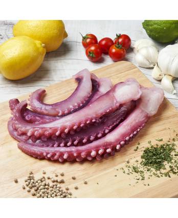 Squid