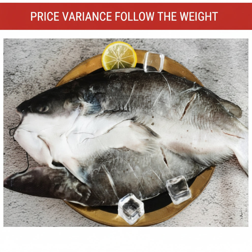 清江鱼 开蝴蝶 SUTCHI FILLET BUTTERFLY CUT(10KG/CTN)