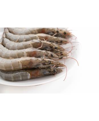 红脚虾 PRAWN PINK LEG HOSO(1KG*10BOX/CTN)