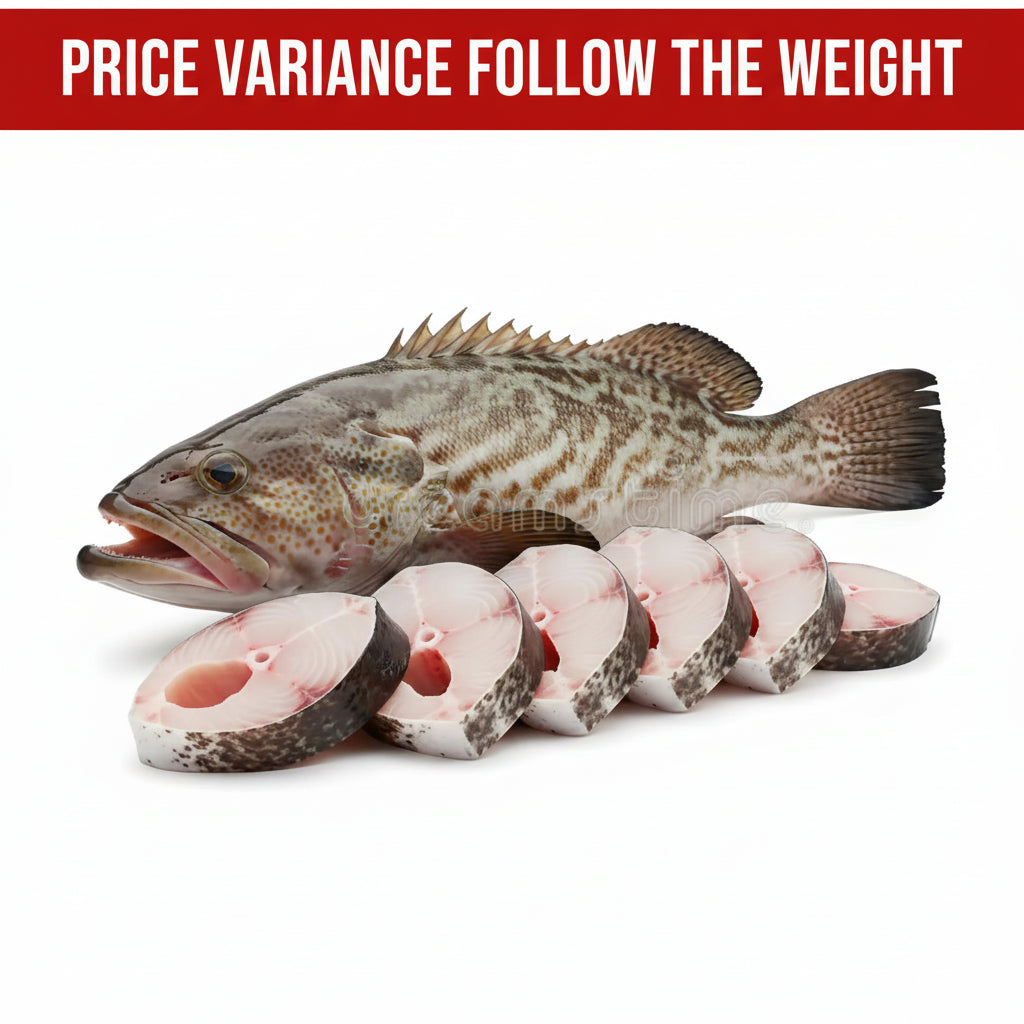 新鲜大石斑 (杀净) FRESH GROUPER FISH