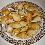 冻红贡贡 FRZ RED GONG GONG(15KG/CTN)