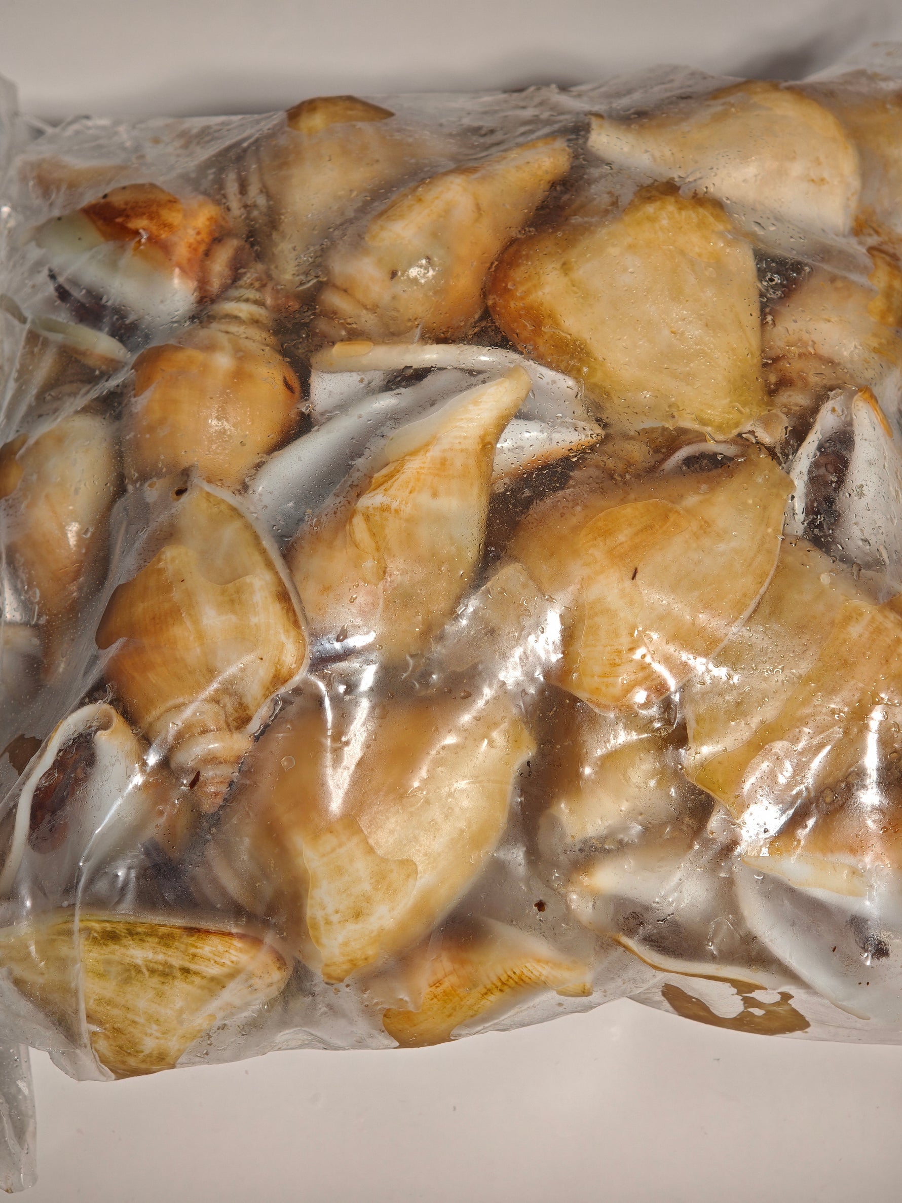 冻红贡贡 FRZ RED GONG GONG(15KG/CTN)