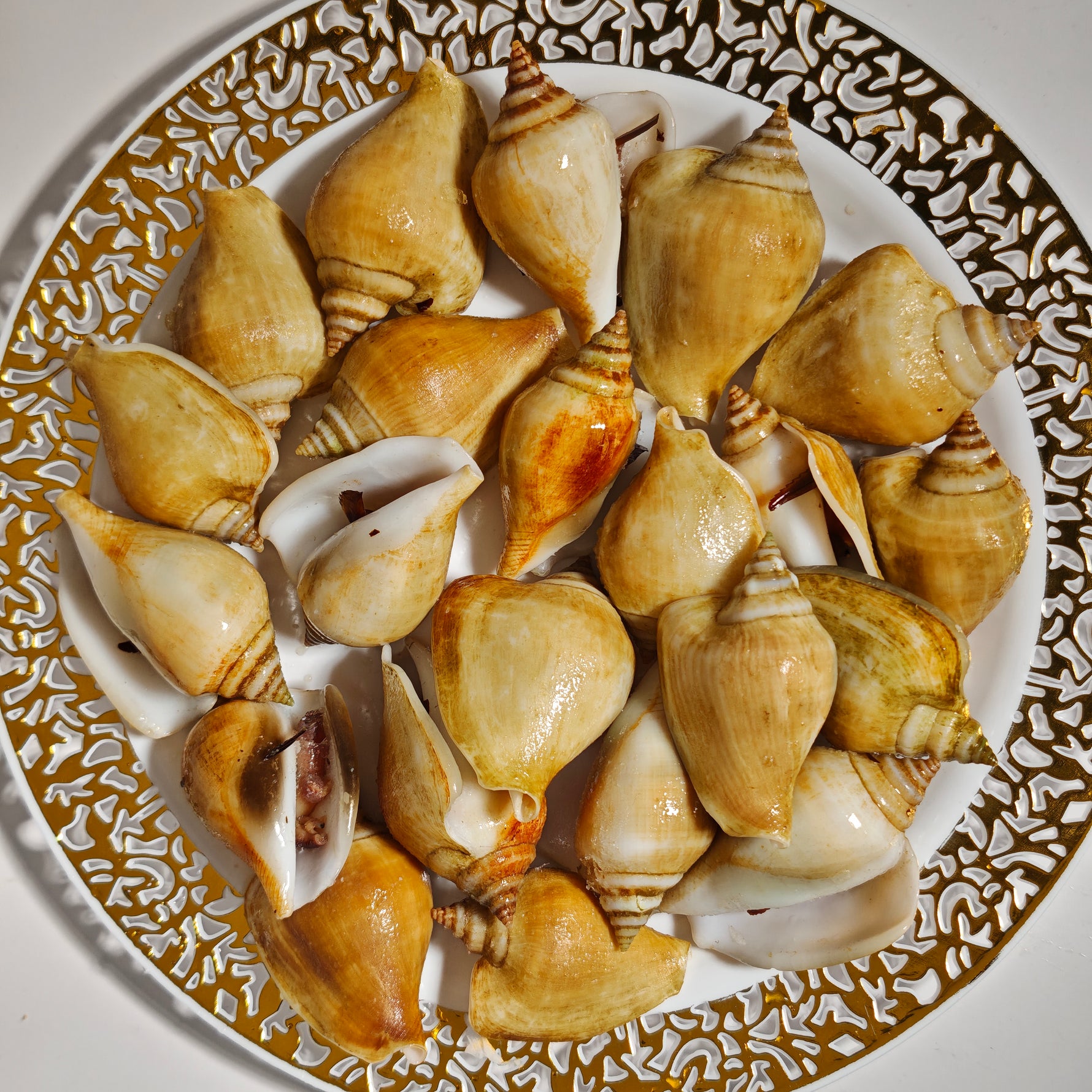 冻红贡贡 FRZ RED GONG GONG(15KG/CTN)