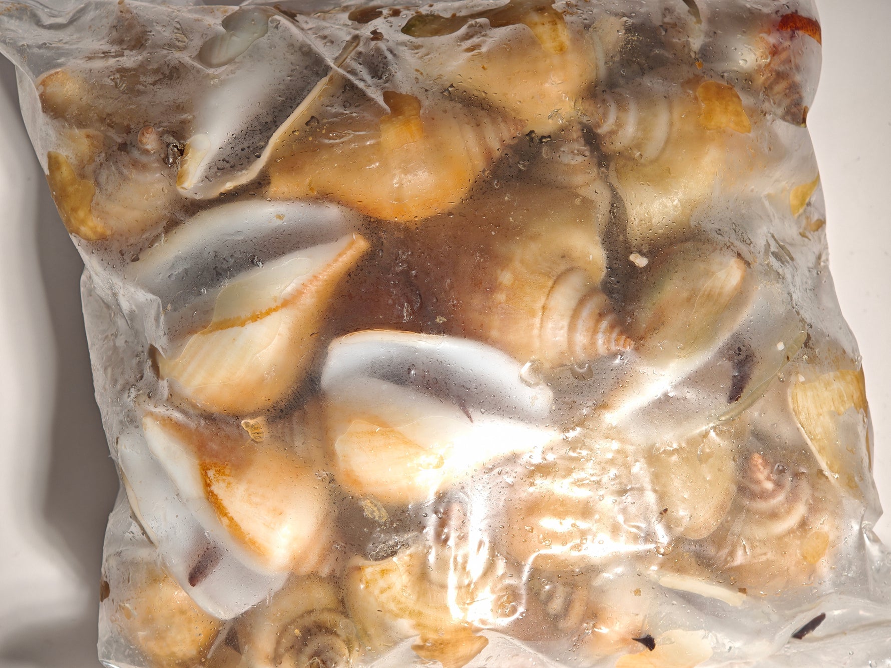 冻红贡贡 FRZ RED GONG GONG(15KG/CTN)