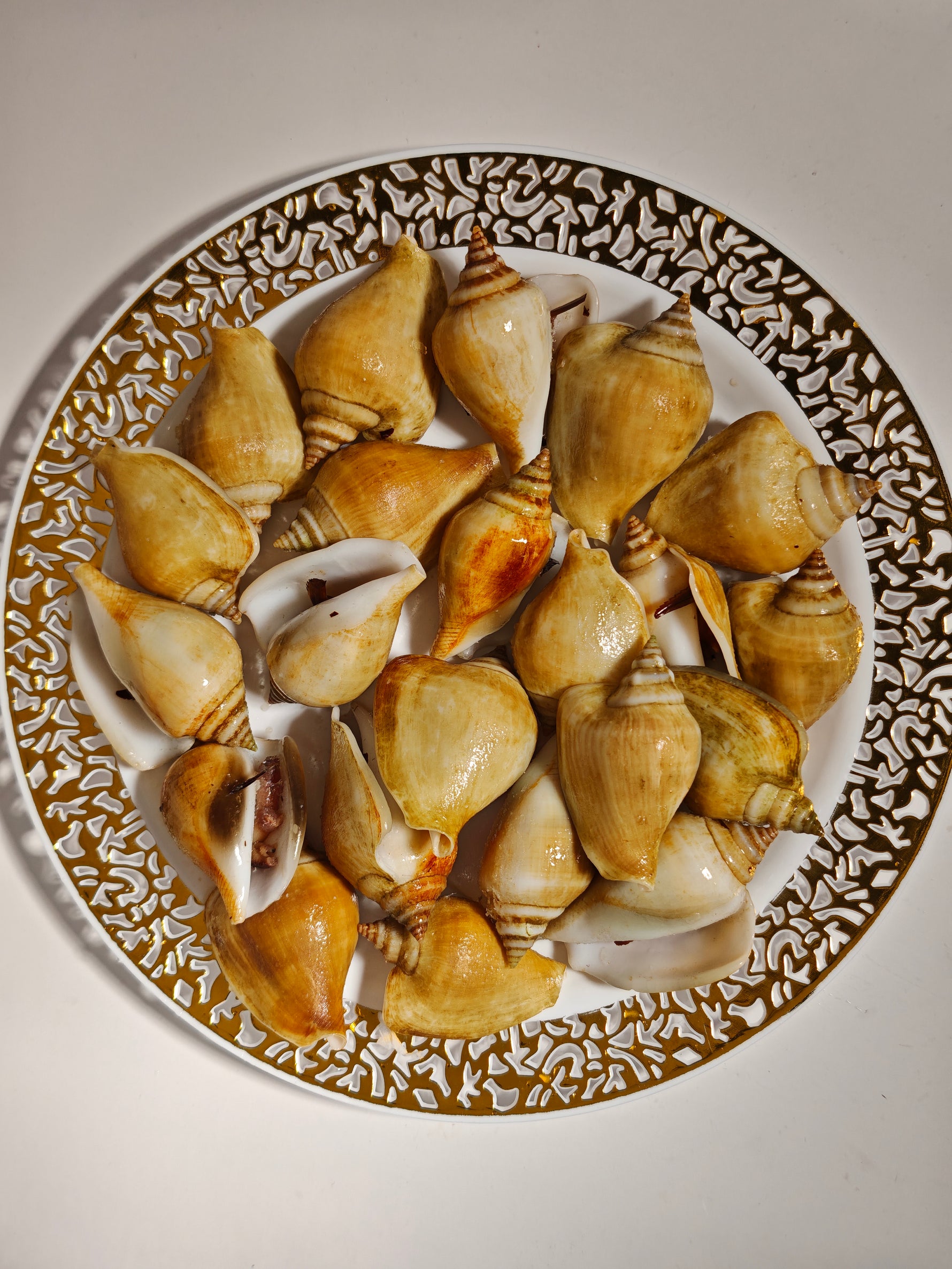 冻红贡贡 FRZ RED GONG GONG(15KG/CTN)