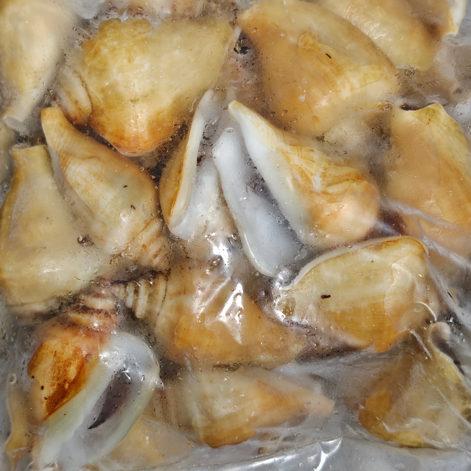 冻红贡贡 FRZ RED GONG GONG(15KG/CTN)