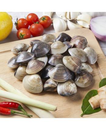 速冻越南啦啦 FROZEN VIETNAM CLAM (LALA/ KAPAL) (500G/PKT)