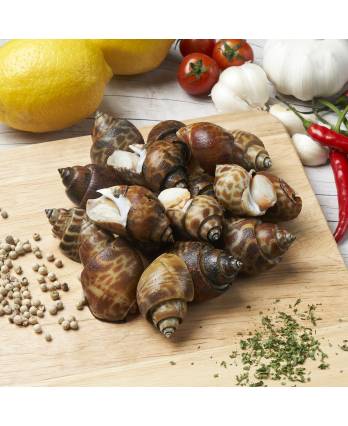 Toshell Meat 马老虎螺 FRZ TIGER TOPSHELL COOKED(12PKT/CTN) 1KG – NewFresh