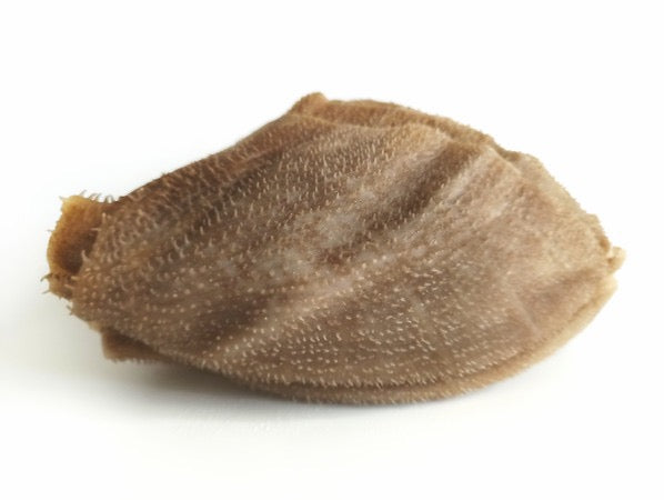 牛百叶 BEEF OMASUM