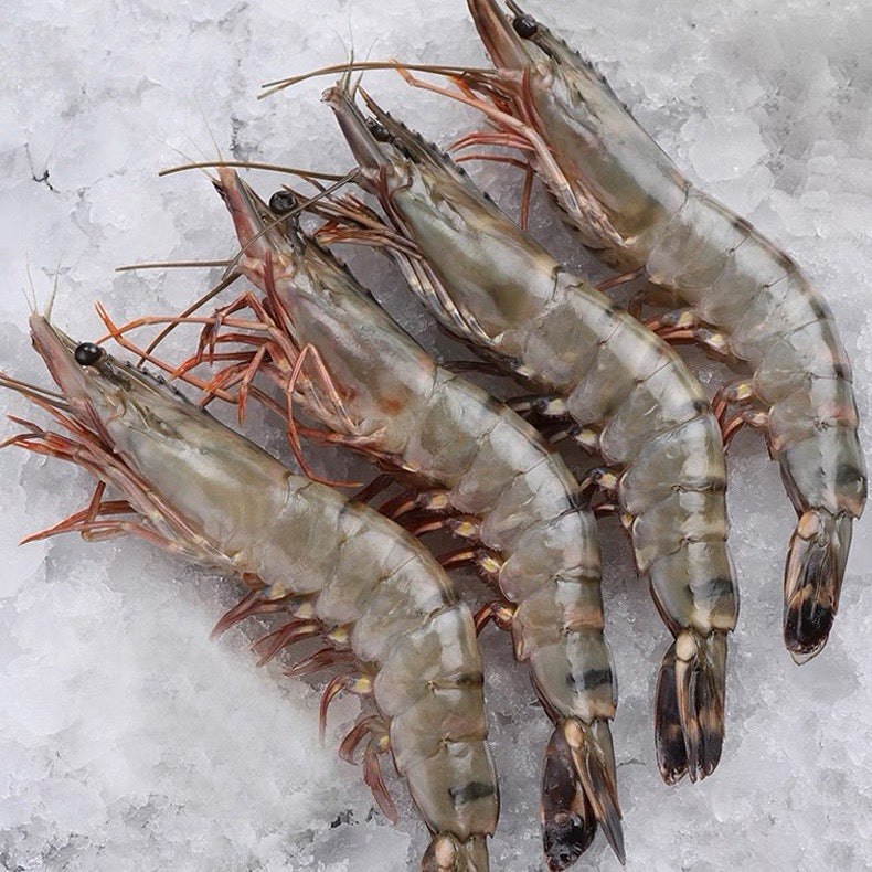 J海花虾 SEE FLOWER HOSO IQF (1KG*10BOX/CTN)