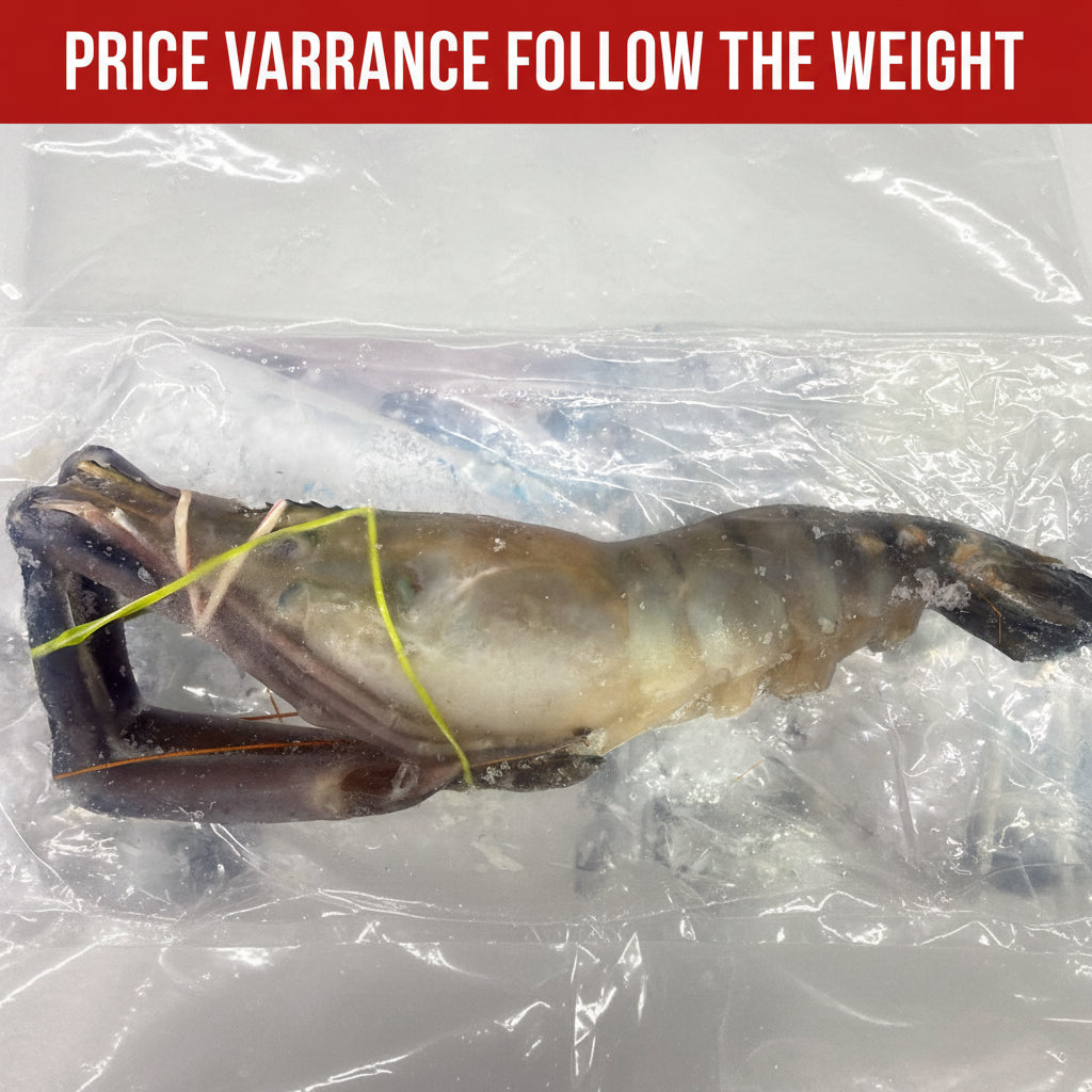 大头虾 SCAMPI IQF FRESH WATER PRAWN(10KG/CTN)