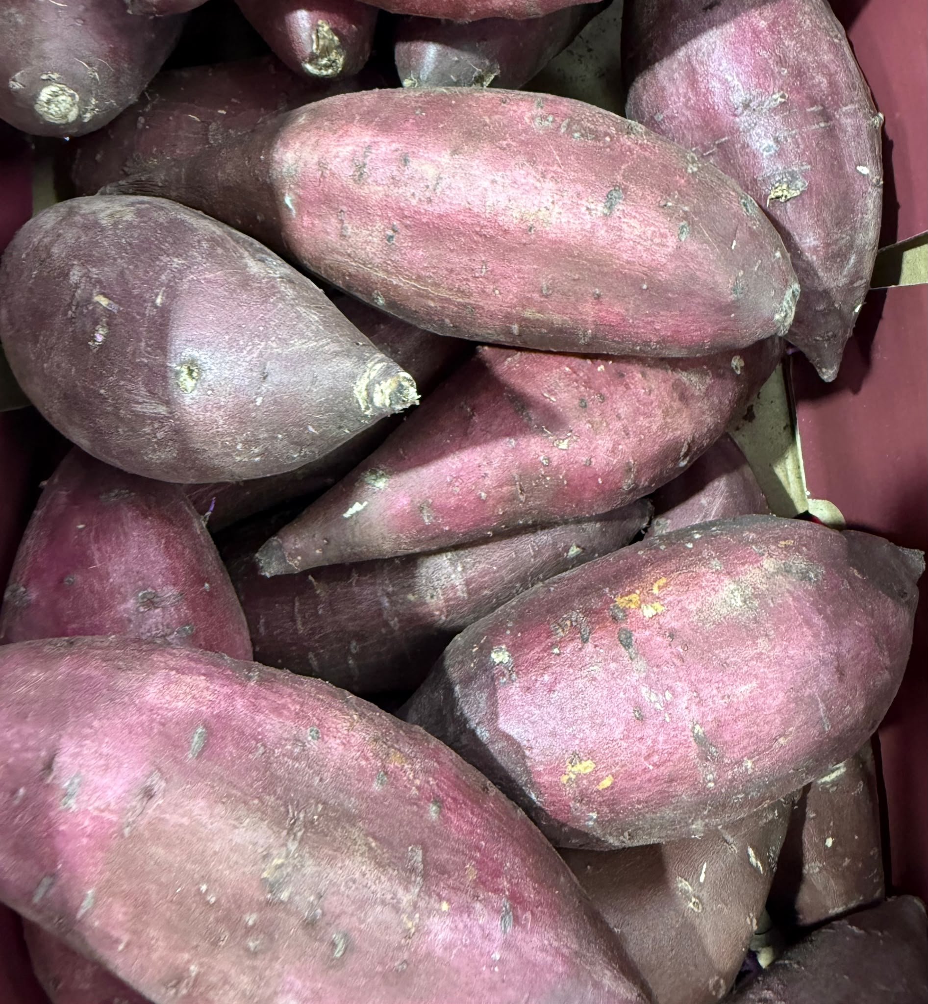 日本蜜薯（生） Raw Sweet Potato-KG