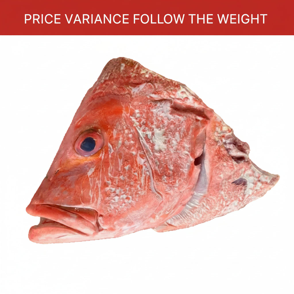 红鸡鱼头 RED SNAPPER HEAD