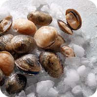 Shellfish
